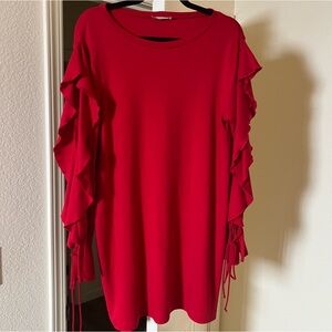 Zara Long Sleeve Mini Dress Red